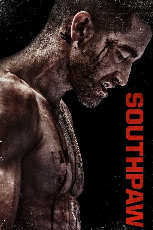 Southpaw (2015) scene pack